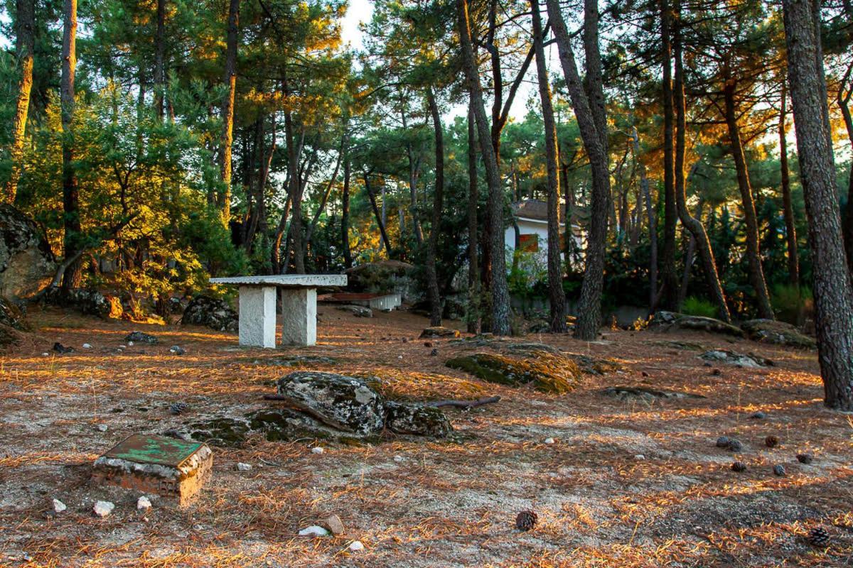Penzion Casa Cadalso, Mirador De Gredos, Madrid Cadalso de los Vidrios Exteriér fotografie